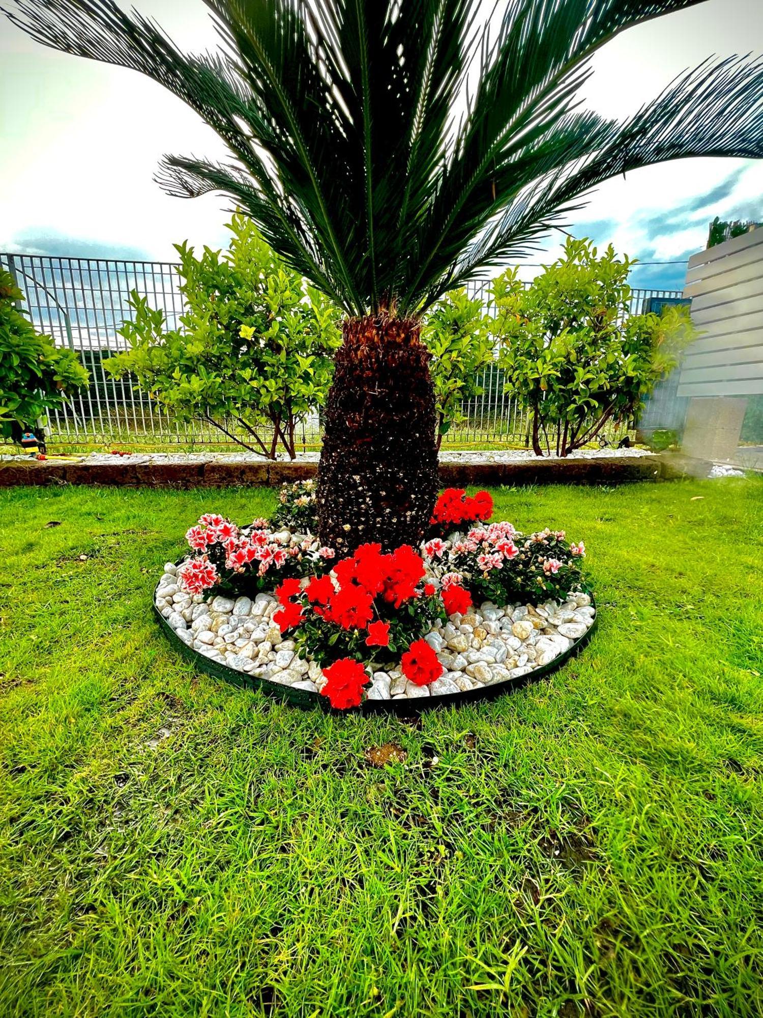 Villa Latino Vieste Exteriér fotografie
